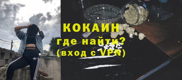 тгк Снежногорск