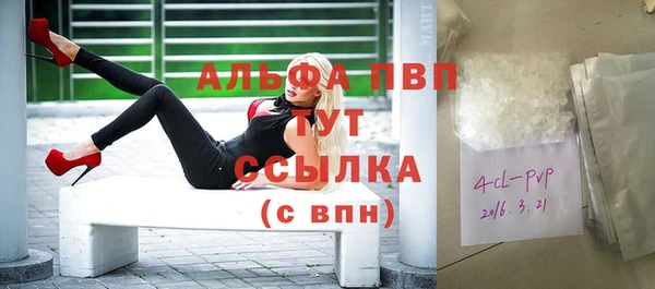 тгк Снежногорск