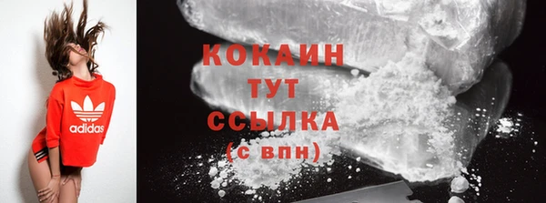 тгк Снежногорск