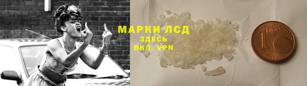 тгк Снежногорск