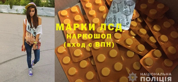 a pvp Куртамыш
