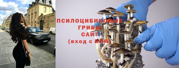 тгк Снежногорск